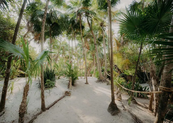 Apartment Boutique Veleta With Private Plunge Pool Tulum