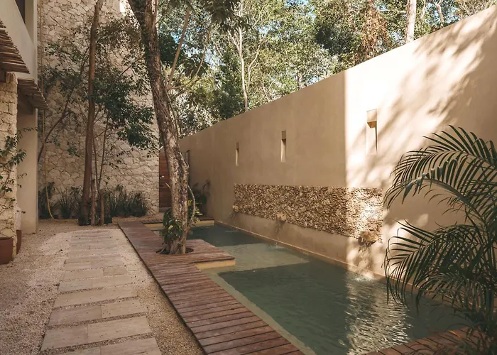 Boutique Veleta With Private Plunge Pool Apartment